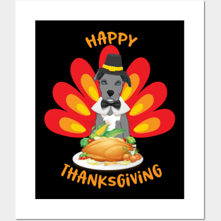 Happy Thanksgiving Blue Nose Pitbull Puppy Pilgrim Turkey Posters and Art